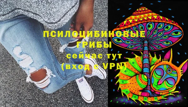 PSILOCYBIN Армянск