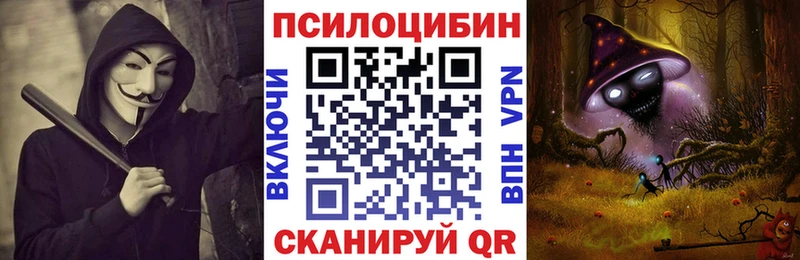 Псилоцибиновые грибы мухоморы  наркота  Красный Холм 